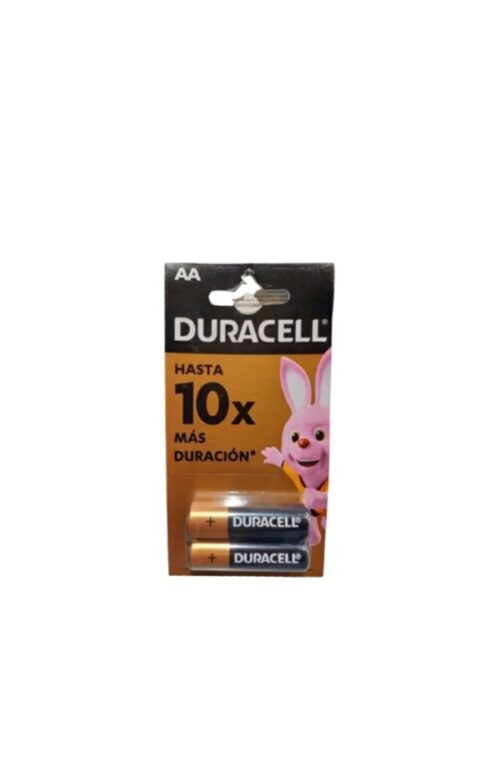 20250325_162959 PILA AA DURACELL X1